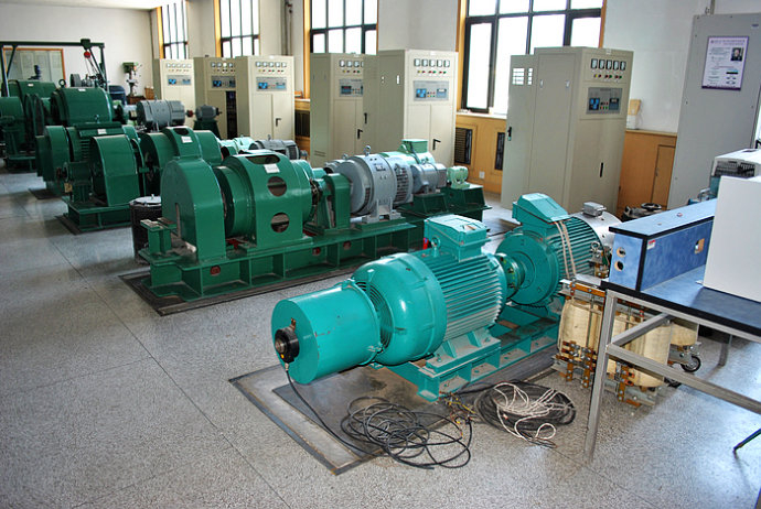 国营昆仑农场某热电厂使用我厂的YKK高压电机提供动力